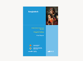 バングラデシュ2012-13 MICSファイナルレポート
