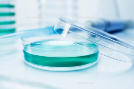 Microbiological Testing Media